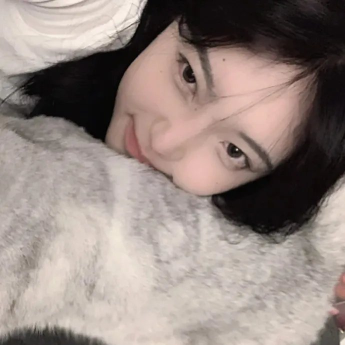 花姊妹风流债